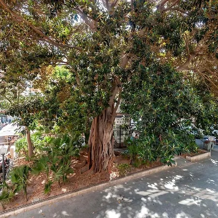 Modern 1st Floor Loft In Alicante